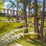 Casablanca 38 Oasis