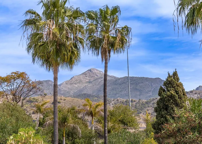 Casablanca 38 Oasis * ネルハ