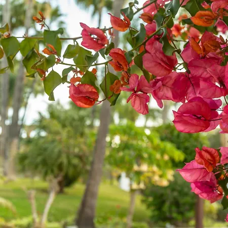 בית נופש Casablanca 38 Oasis