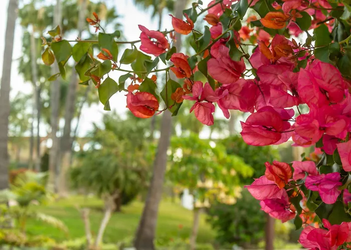 בית נופש Casablanca 38 Oasis